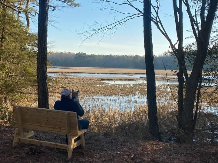 person sitting on bench holding dog looking out on peaceful nature view